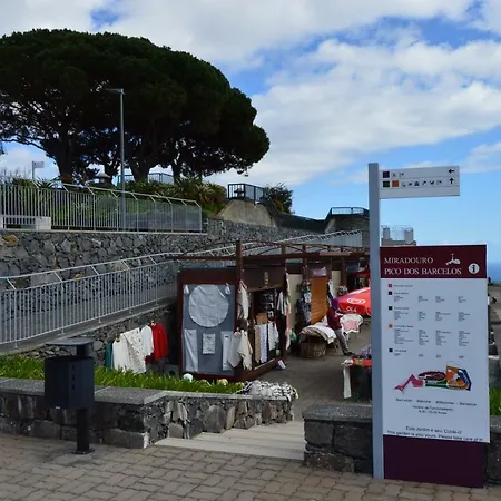 Relaxing In The Center Of Funchal *